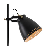 BRA4277 Brachi 179cm Floor Lamp 1 Light in a Matt Black/Antique Brass/Khaki Finish