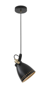 BRA6277 Brachi Small Pendant 1 Light in a Matt Black/Antique Brass/Khaki Finish