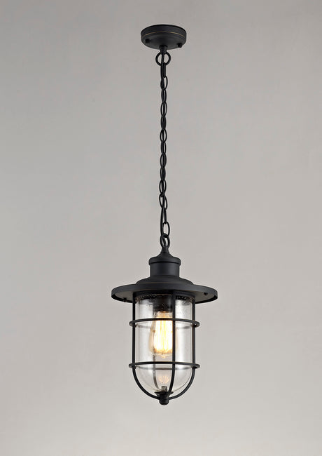 BRO4137 Bronxei Pendant 1 Light IP54 Indoor/Outdoor Use in a Black/Gold/Clear Finish