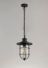 BRO4137 Bronxei Pendant 1 Light IP54 Indoor/Outdoor Use in a Black/Gold/Clear Finish