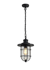 BRO4137 Bronxei Pendant 1 Light IP54 Indoor/Outdoor Use in a Black/Gold/Clear Finish