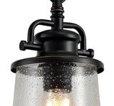 BUB7917 Bubip Pendant 1 Light IP54 Indoor/Outdoor Use in a Black/Gold/Clear Finish