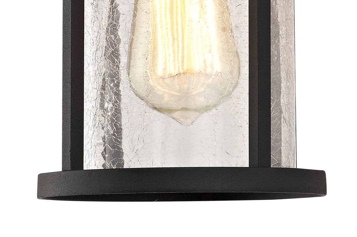 ELN8137 Elnath Wall Lamp 1 Light IP54 Indoor/Outdoor in a Black/Clear Finish