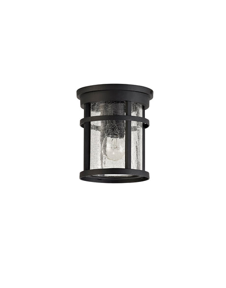 ELN9137 Elnath Ceiling 1 Light IP54 Indoor/Outdoor in a Black/Clear Finish