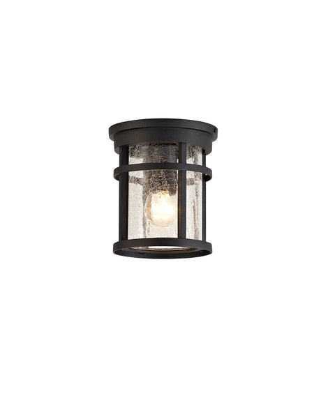 ELN9137 Elnath Ceiling 1 Light IP54 Indoor/Outdoor in a Black/Clear Finish