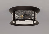 ELO9557 Elon Ceiling 2 Light IP54 Indoor/Outdoor Use in a Antique Bronze/Clear Finish