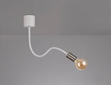 GIN0567 Ginan Flexible Ceiling 1 Light in a Satin White/Satin Nickel Finish