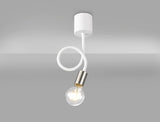 GIN0567 Ginan Flexible Ceiling 1 Light in a Satin White/Satin Nickel Finish