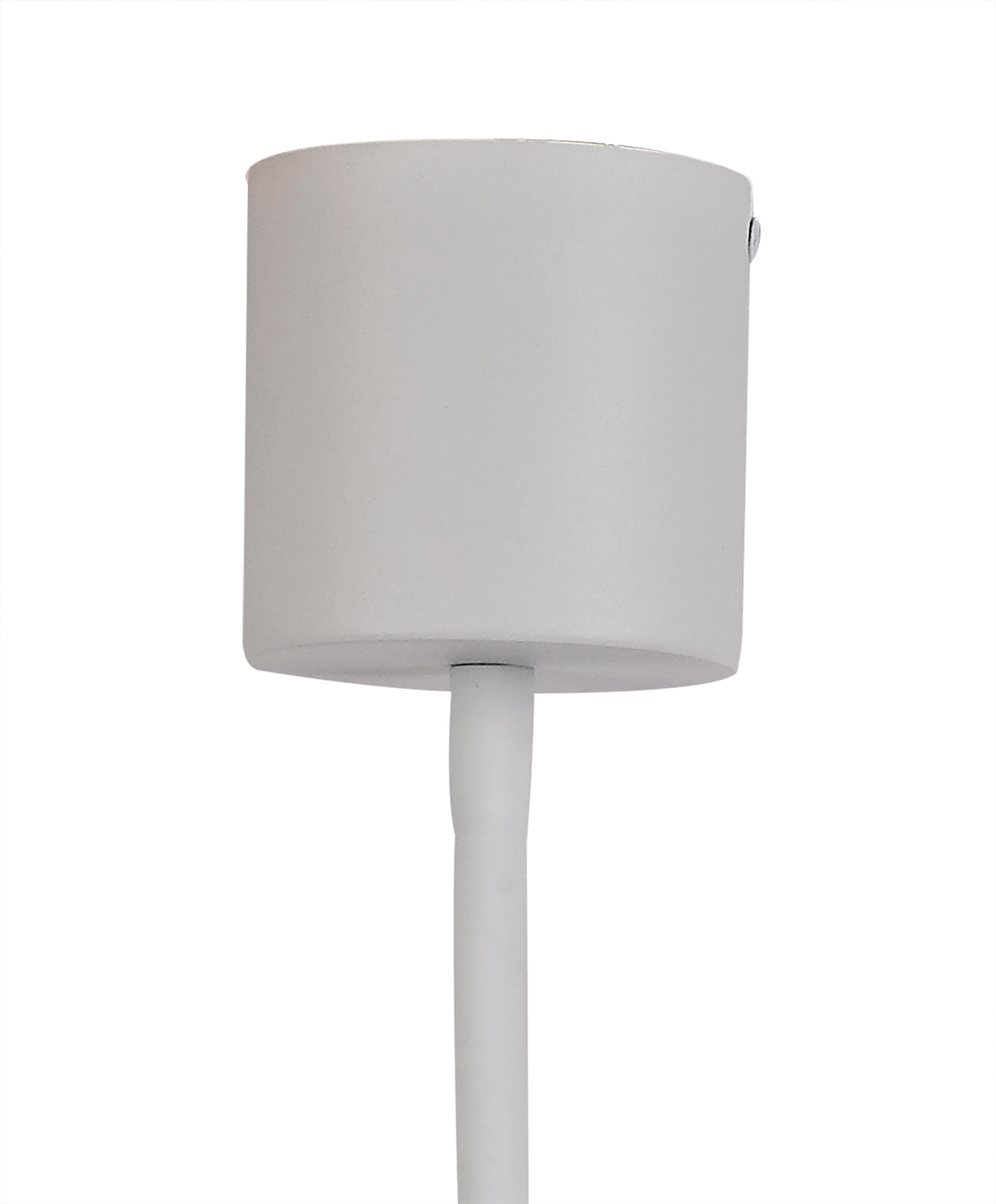 GIN0567 Ginan Flexible Ceiling 1 Light in a Satin White/Satin Nickel Finish