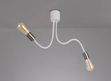 GIN1567 Ginan Flexible Ceiling 2 Light in a Satin White/Satin Nickel Finish