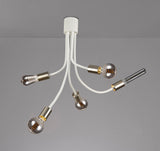 GIN3567 Ginan Flexible Ceiling 5 Light in a Satin White/Satin Nickel Finish