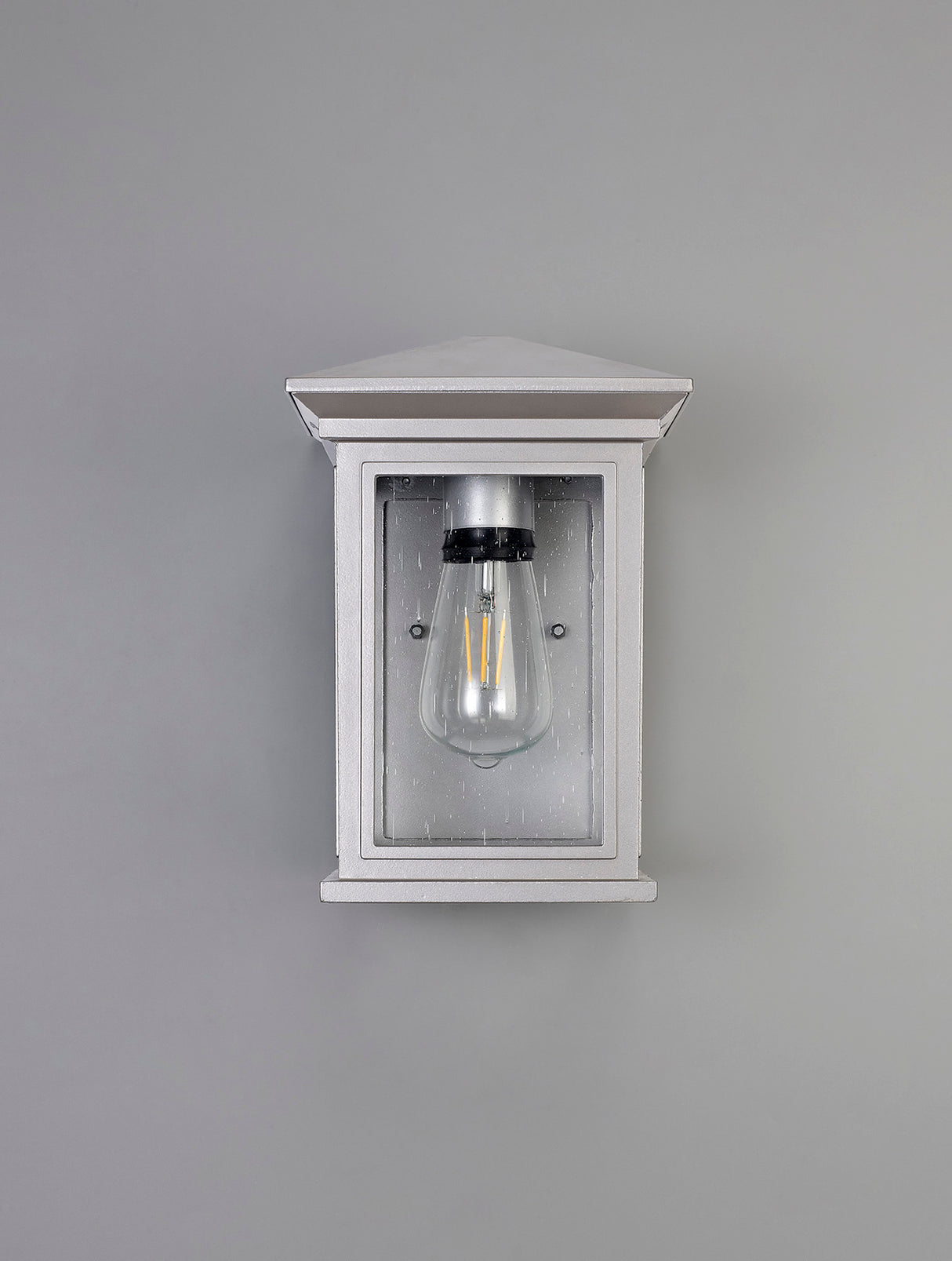 KEI0657 Keid Wall Lamp 1 Light IP54 Indoor/Outdoor Use in a Silver Grey/Clear Finish