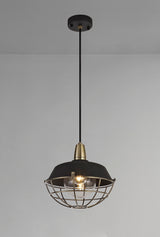 KRA7487 Kraz Pendant 1 Light IP65 Outdoor in a Matt Black/Antique Brass/Clear Finish