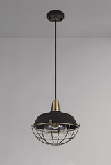 KRA7487 Kraz Pendant 1 Light IP65 Outdoor in a Matt Black/Antique Brass/Clear Finish