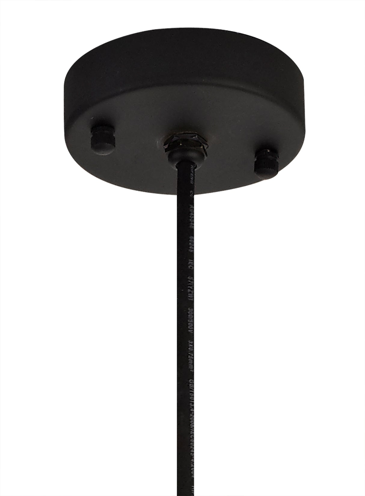 KRA7487 Kraz Pendant 1 Light IP65 Outdoor in a Matt Black/Antique Brass/Clear Finish