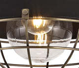 KRA7487 Kraz Pendant 1 Light IP65 Outdoor in a Matt Black/Antique Brass/Clear Finish