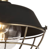 KRA7487 Kraz Pendant 1 Light IP65 Outdoor in a Matt Black/Antique Brass/Clear Finish