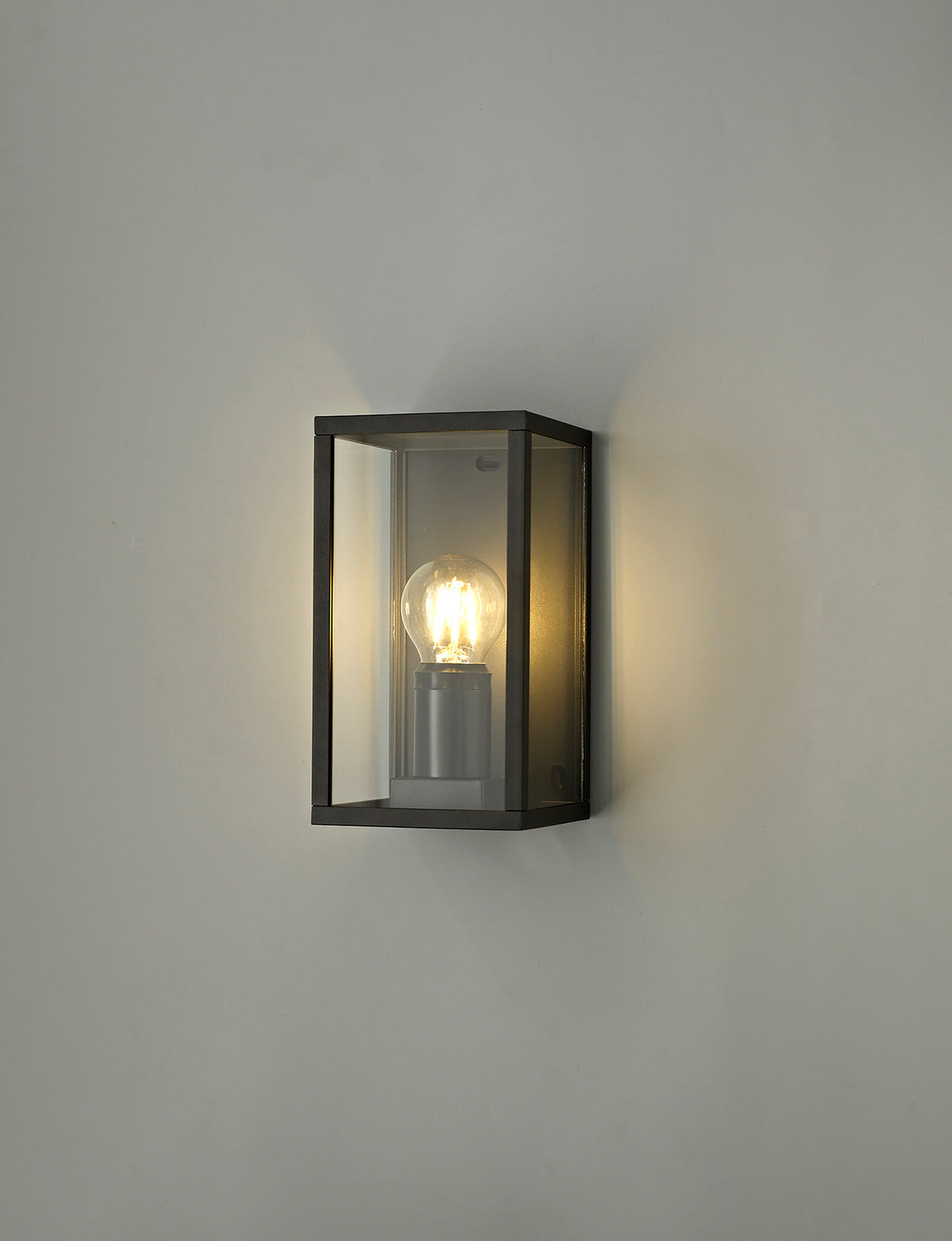 MER5117 Merga Flush Wall Lamp 1 Light IP54 Indoor/Outdoor Use in a Graphite Black/Clear Finish