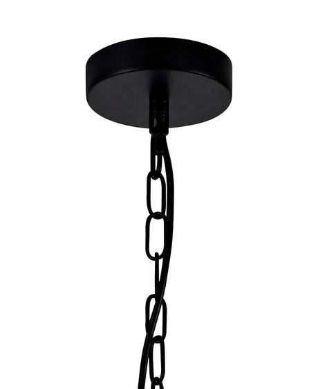 PRO7017 Propus Pendant 1 Light in a Matt Black/Clear Finish