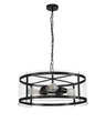 PRO8618 Propus Pendant 4 Light in a Matt Black/Clear Finish