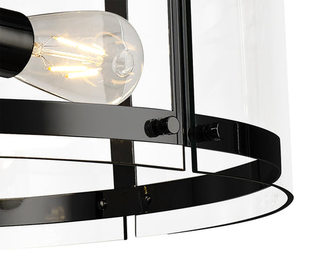 PRO8618 Propus Pendant 4 Light in a Matt Black/Clear Finish