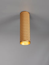 SAD0208 Sadal 20cm Surface Mounted Ceiling Light 1 Light in a Champagne Gold Finish