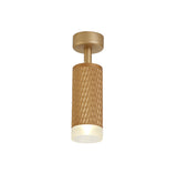 SAD8208 Sadal Surface Mounted Spot Light 1 Light in a Champagne Gold Finish